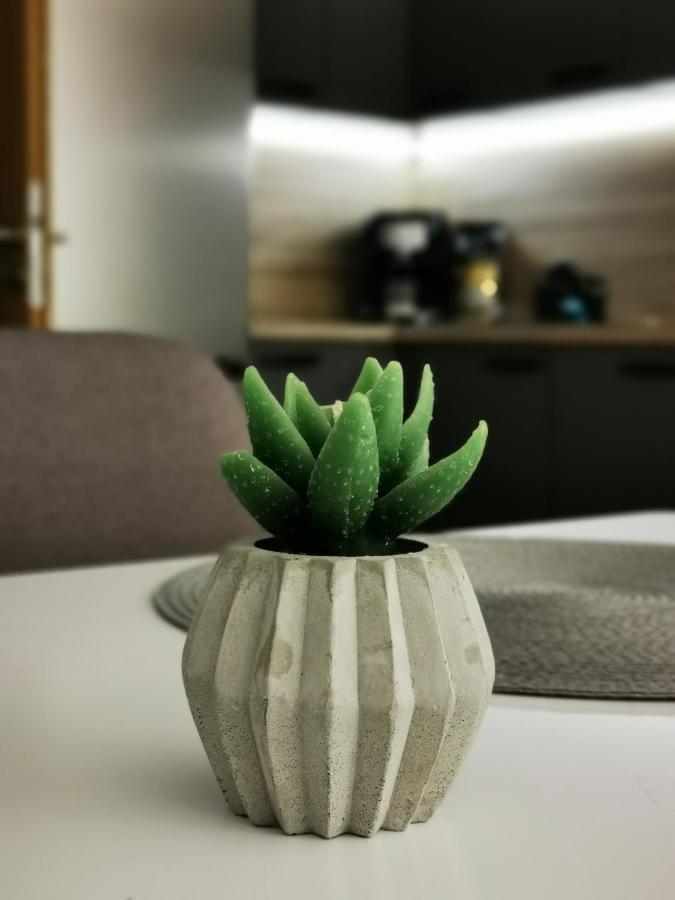 Apartman Mlynska Strouha Πίλζεν Εξωτερικό φωτογραφία